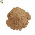 Natural Cactus Extract/Opuntia Extract/Cholla Stem Extract